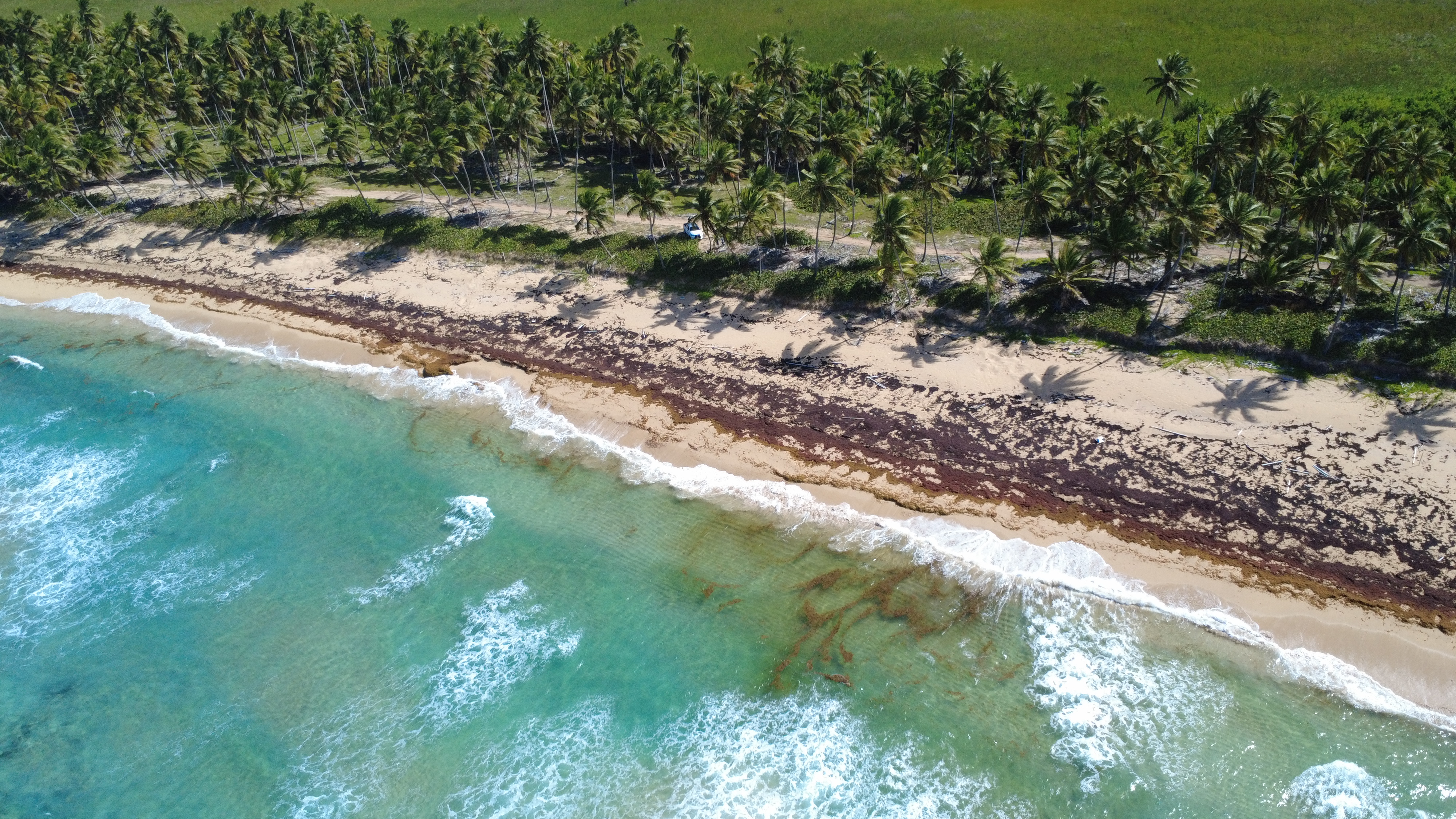 Fotografía aérea de propiedad costera en Cap Cana tomada con dron - Dron.PC